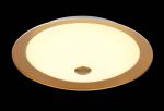 Потолочный светильник светодиодный Euler золото LED 18W 220V арт. CL815-PT42-G